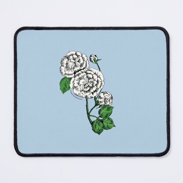 Item preview, White Pompon Rose Bloom Double 16-25 Petals In 3+ Rows designed and sold by Rachael Taylor.