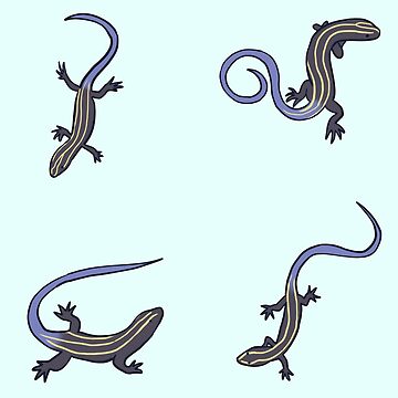 Artwork thumbnail, blue tailed skink lizard pack by Mayarart