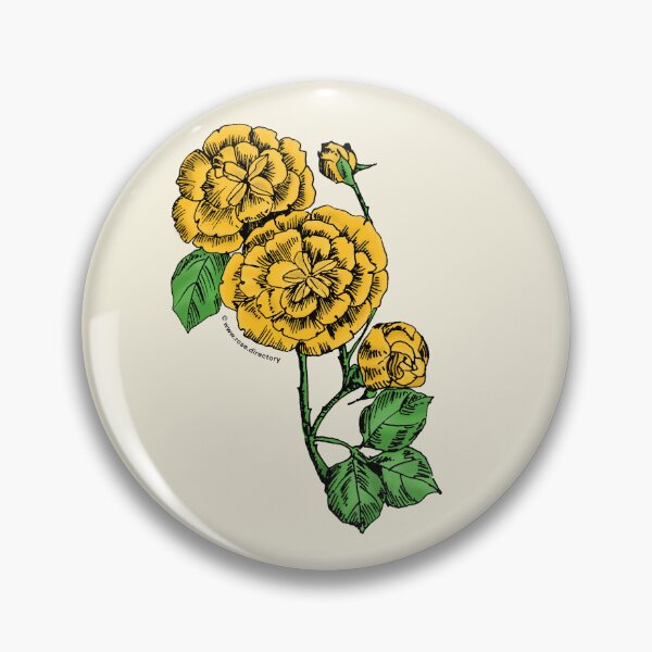 Item preview, Yellow Pompon Rose Bloom Double 16-25 Petals In 3+ Rows designed and sold by Rachael Taylor.