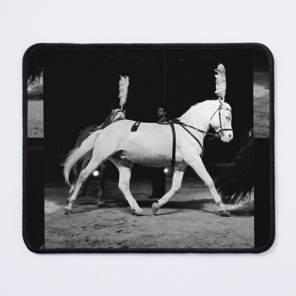 Item preview, vr 3645 / finition 2024 - 4 " le Merveilleux Cirque Claudio Zavatta et ses Chevaux " Okaio-Umin Créations Olavia-Olao designed and sold by o.okaïo.