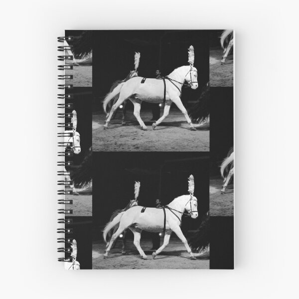 Item preview, vr 3645 / finition 2024 -  4  " le Merveilleux Cirque Claudio Zavatta et ses Chevaux " Okaio-Umin Créations Olavia-Olao designed and sold by o.okaïo.