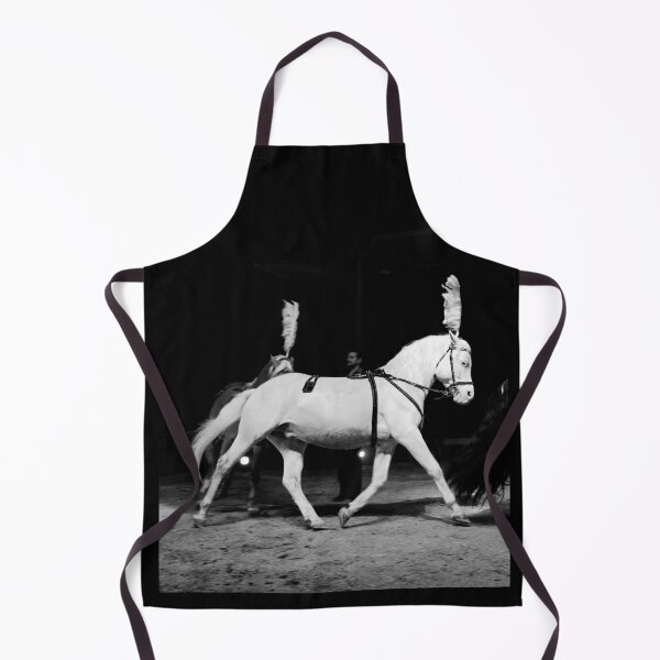Item preview, vr 3645 / finition 2024 - 4 " le Merveilleux Cirque Claudio Zavatta et ses Chevaux " Okaio-Umin Créations Olavia-Olao designed and sold by o.okaïo.