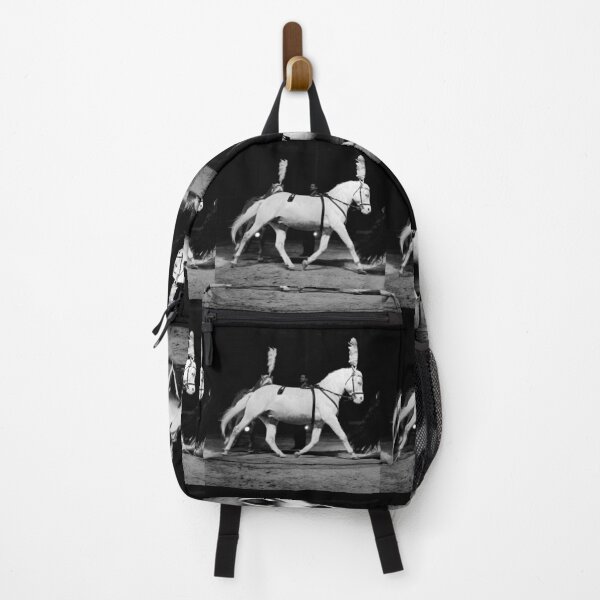 Item preview, vr 3645 / finition 2024 -  4  " le Merveilleux Cirque Claudio Zavatta et ses Chevaux " Okaio-Umin Créations Olavia-Olao designed and sold by o.okaïo.