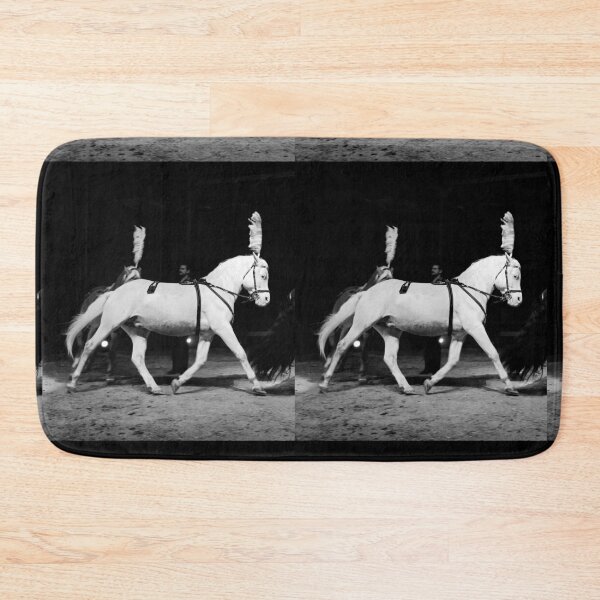 Item preview, vr 3645 / finition 2024 -  4  " le Merveilleux Cirque Claudio Zavatta et ses Chevaux " Okaio-Umin Créations Olavia-Olao designed and sold by o.okaïo.