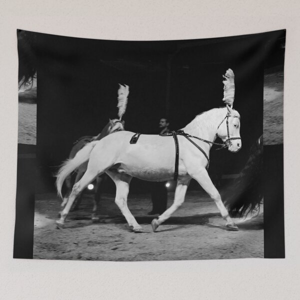 Item preview, vr 3645 / finition 2024 -  4  " le Merveilleux Cirque Claudio Zavatta et ses Chevaux " Okaio-Umin Créations Olavia-Olao designed and sold by o.okaïo.