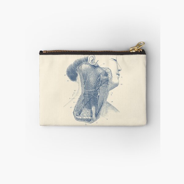 Item preview, Circulatory System - Neck Diagram - Vintage Anatomy designed and sold by VAposters.