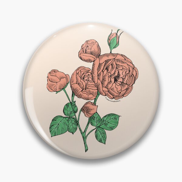 Item preview, Apricot Pompon Rose Bloom Full 26-40 Petals In 3+ Rows designed and sold by Rachael Taylor.