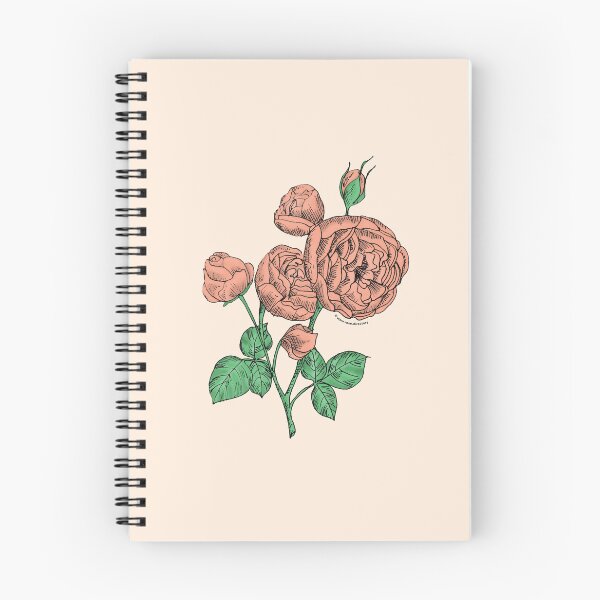 Item preview, Apricot Pompon Rose Bloom Full 26-40 Petals In 3+ Rows designed and sold by Rachael Taylor.
