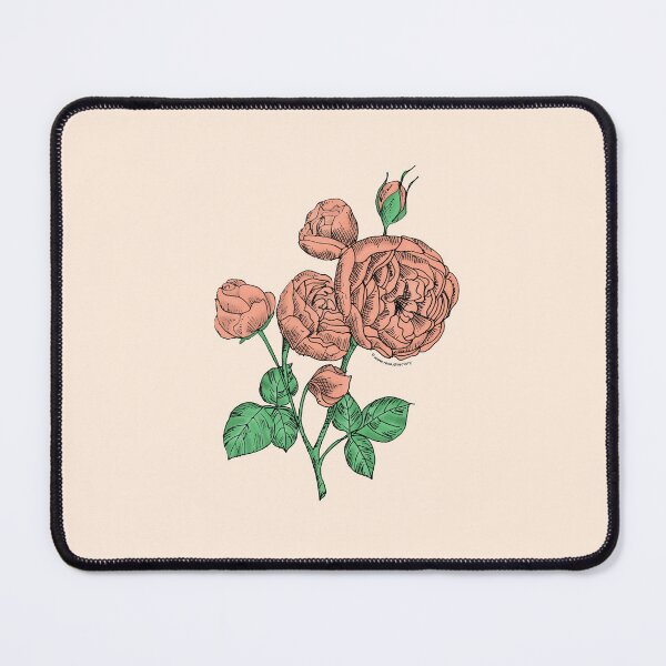 Item preview, Apricot Pompon Rose Bloom Full 26-40 Petals In 3+ Rows designed and sold by Rachael Taylor.