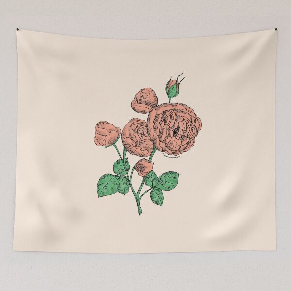 Item preview, Apricot Pompon Rose Bloom Full 26-40 Petals In 3+ Rows designed and sold by zenithcreative.
