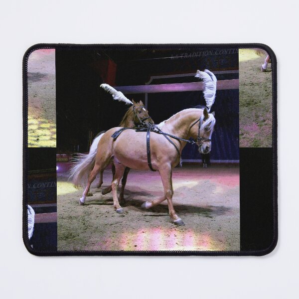 Item preview, vr 3644 / finition 2024 - 3 " le Merveilleux Cirque Claudio Zavatta et ses Chevaux " Okaio-Umin Créations Olavia-Olao designed and sold by o.okaïo.