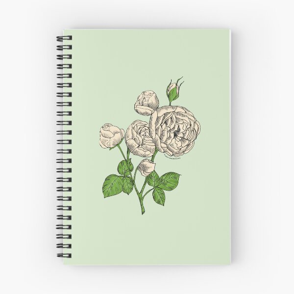Item preview, Cream Pompon Rose Bloom Full 26-40 Petals In 3+ Rows designed and sold by Rachael Taylor.