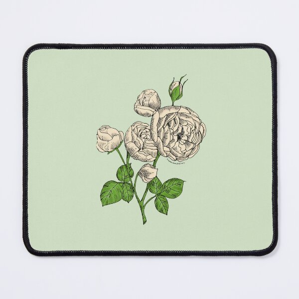 Item preview, Cream Pompon Rose Bloom Full 26-40 Petals In 3+ Rows designed and sold by Rachael Taylor.