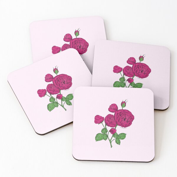 Item preview, Deep Pink Pompon Rose Bloom Full 26-40 Petals In 3+ Rows designed and sold by zenithcreative.