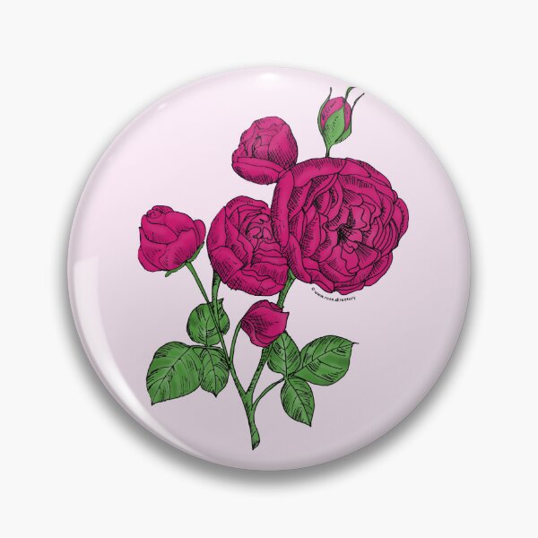 Item preview, Deep Pink Pompon Rose Bloom Full 26-40 Petals In 3+ Rows designed and sold by Rachael Taylor.