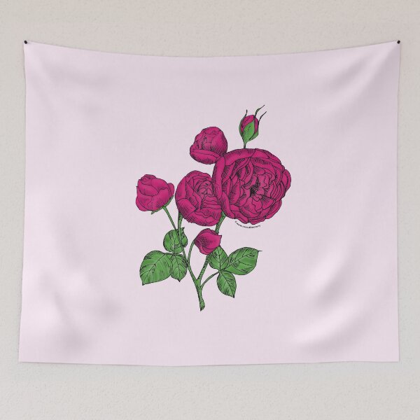 Item preview, Deep Pink Pompon Rose Bloom Full 26-40 Petals In 3+ Rows designed and sold by zenithcreative.