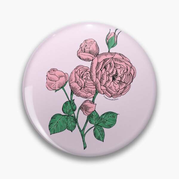 Item preview, Light Pink Pompon Rose Bloom Full 26-40 Petals In 3+ Rows designed and sold by Rachael Taylor.