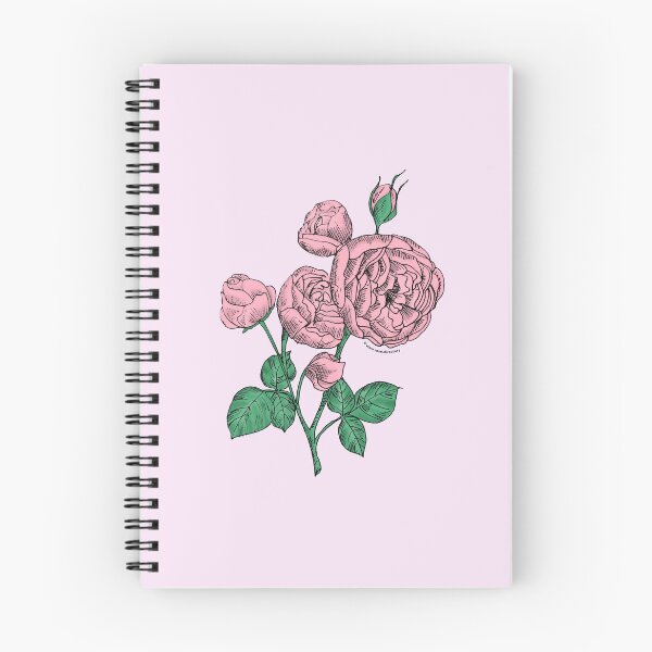 Item preview, Light Pink Pompon Rose Bloom Full 26-40 Petals In 3+ Rows designed and sold by Rachael Taylor.