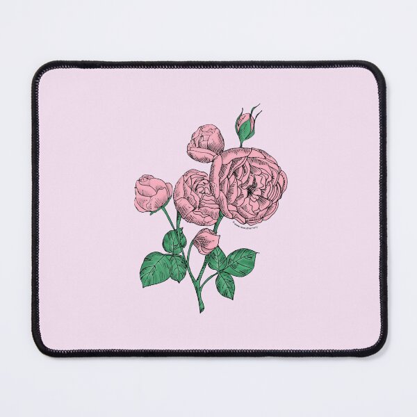 Item preview, Light Pink Pompon Rose Bloom Full 26-40 Petals In 3+ Rows designed and sold by Rachael Taylor.