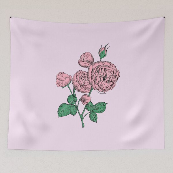 Item preview, Light Pink Pompon Rose Bloom Full 26-40 Petals In 3+ Rows designed and sold by zenithcreative.