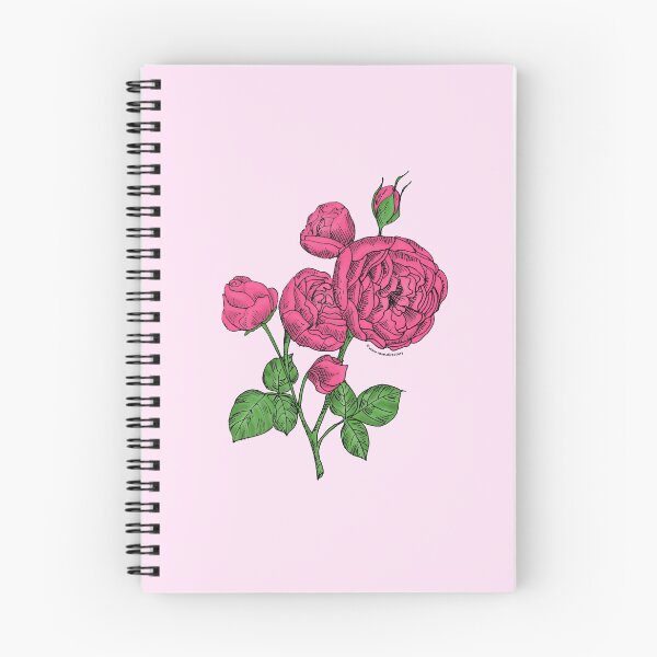 Item preview, Mid Pink Pompon Rose Bloom Full 26-40 Petals In 3+ Rows designed and sold by Rachael Taylor.