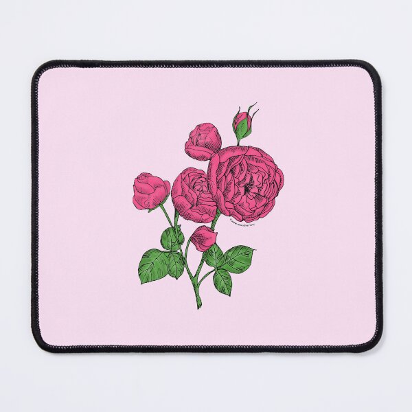 Item preview, Mid Pink Pompon Rose Bloom Full 26-40 Petals In 3+ Rows designed and sold by Rachael Taylor.