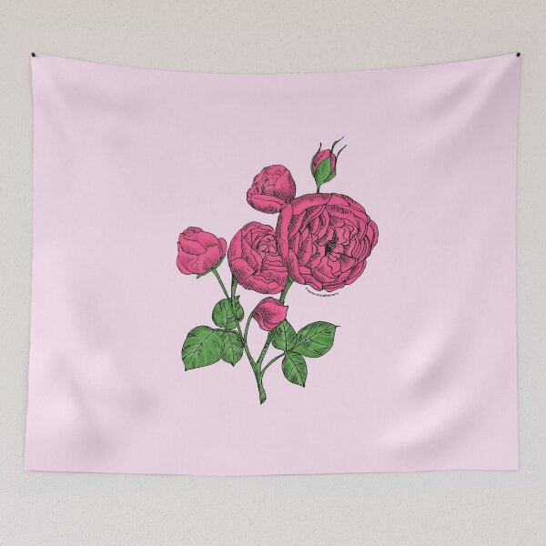 Item preview, Mid Pink Pompon Rose Bloom Full 26-40 Petals In 3+ Rows designed and sold by zenithcreative.