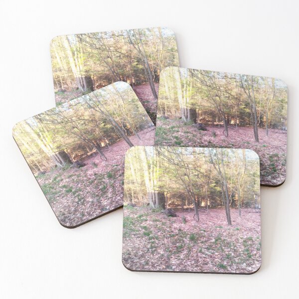 Item preview, forest floor designed and sold by artsycandy.