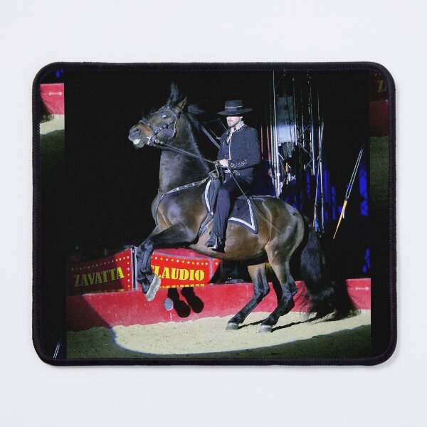 Item preview, vr 3646 / finition 2024 - 5 " le Merveilleux Cirque Claudio Zavatta et ses Chevaux " Okaio-Umin Créations Olavia-Olao designed and sold by o.okaïo.