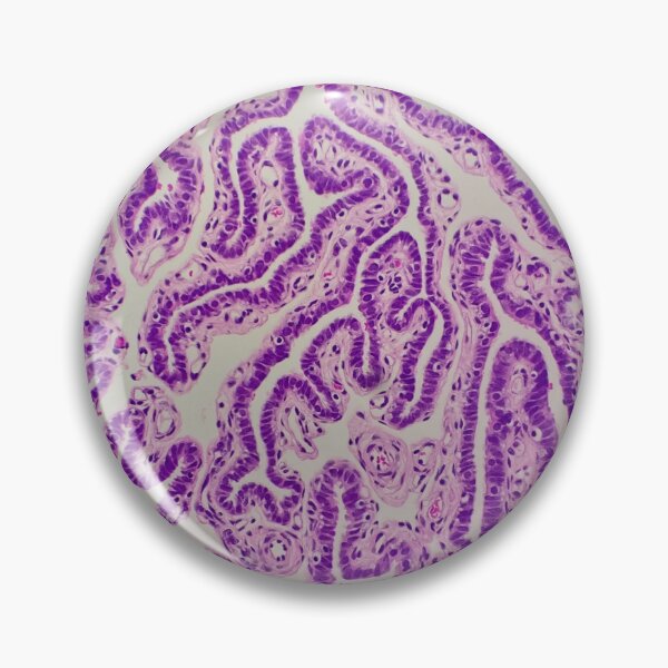 Item preview, Histology of Fallopian tube, human tissue, H&E, 100x designed and sold by Psymier.