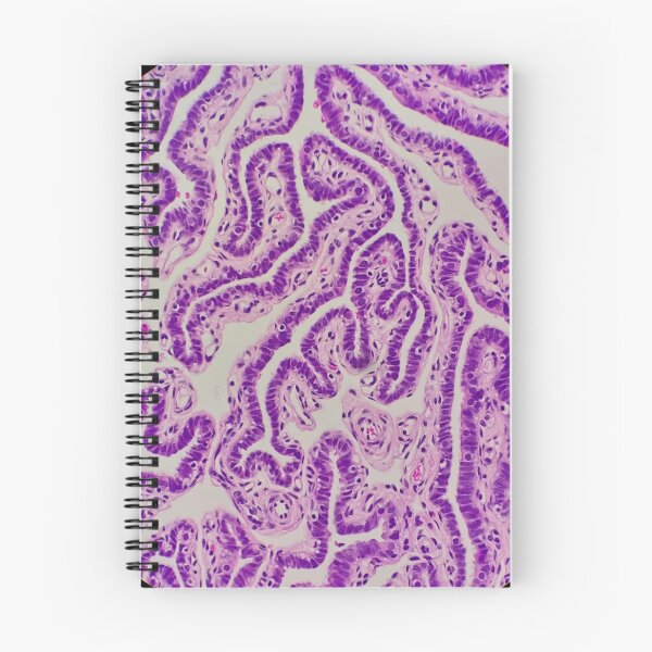 Item preview, Histology of Fallopian tube, human tissue, H&E, 100x designed and sold by Psymier.