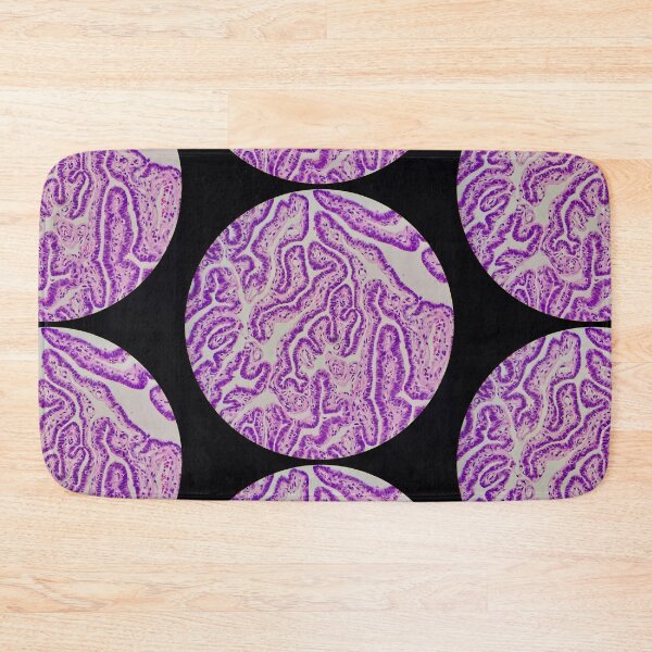 Item preview, Histology of Fallopian tube, human tissue, H&E, 100x designed and sold by Psymier.