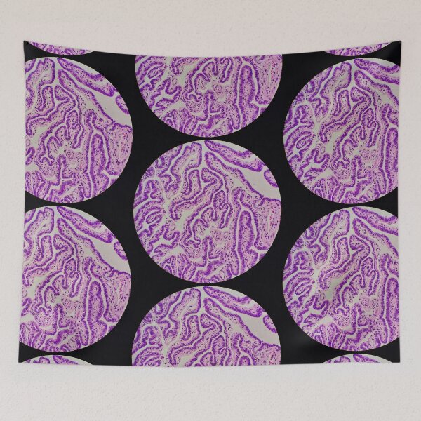 Item preview, Histology of Fallopian tube, human tissue, H&E, 100x designed and sold by Psymier.