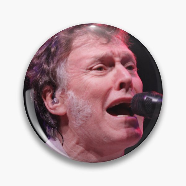 Item preview, Steve Winwood - Photograph designed and sold by ConcertImages.