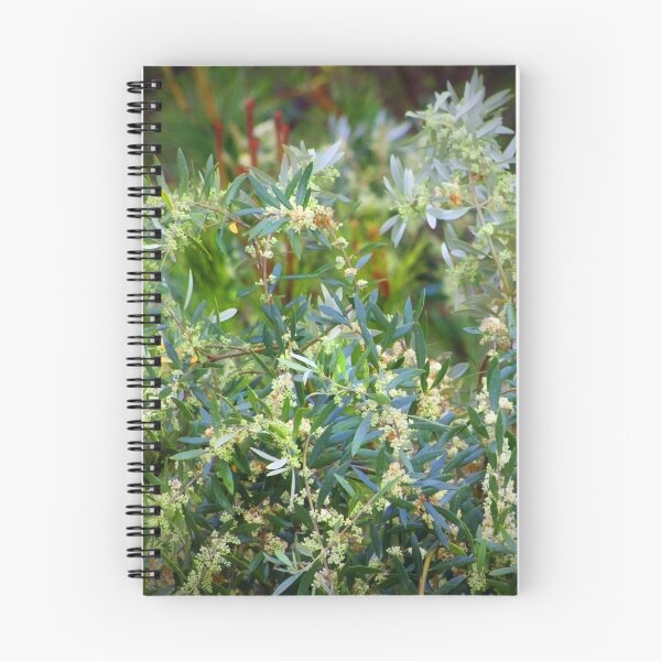 Item preview, flowering olive tree  designed and sold by Tereza Pilar  Art.