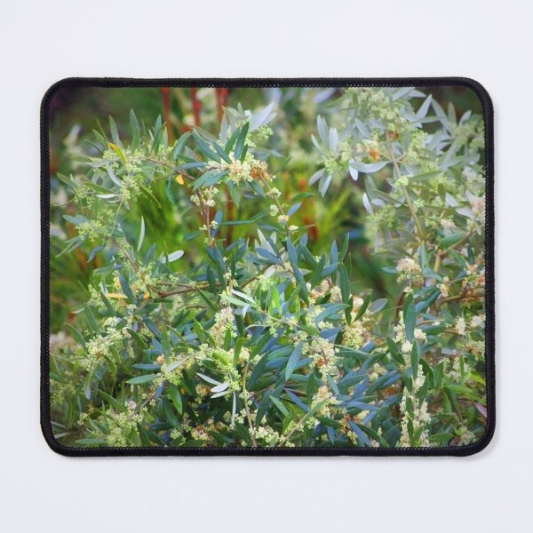 Item preview, flowering olive tree designed and sold by Tereza Pilar Art.