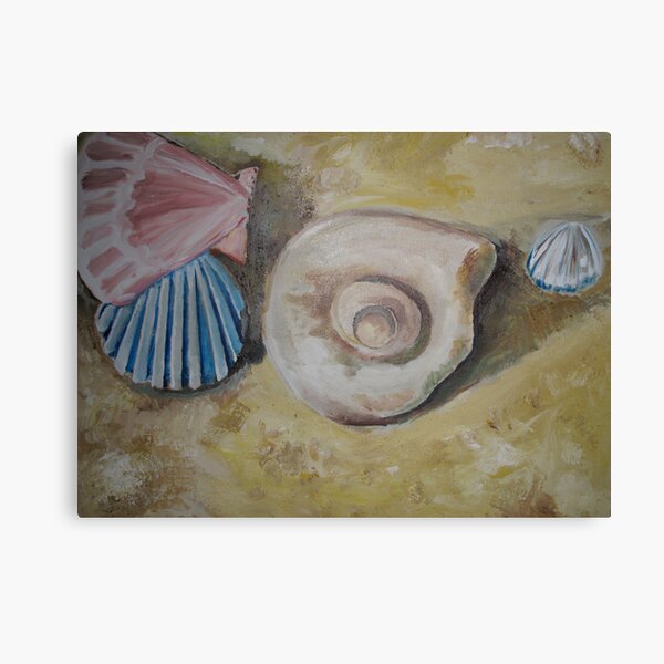 Shells Canvas Print