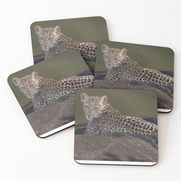 Item preview, Young Leopard sunning on a rock designed and sold by vagabondgal.