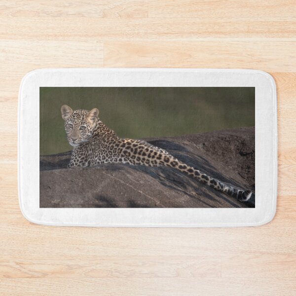 Item preview, Young Leopard sunning on a rock designed and sold by vagabondgal.