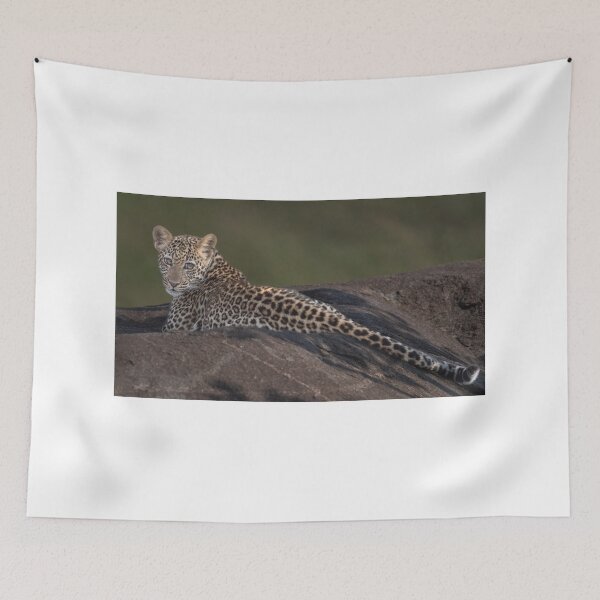 Item preview, Young Leopard sunning on a rock designed and sold by vagabondgal.