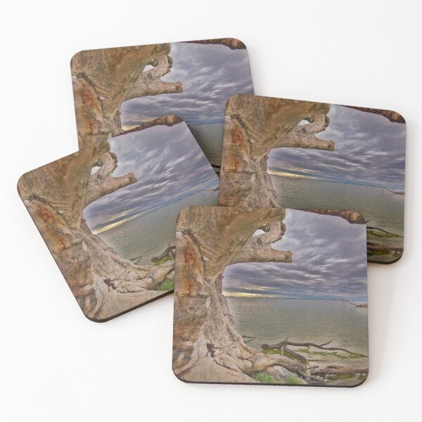 Item preview, Old Tree designed and sold by DVJPhotography.