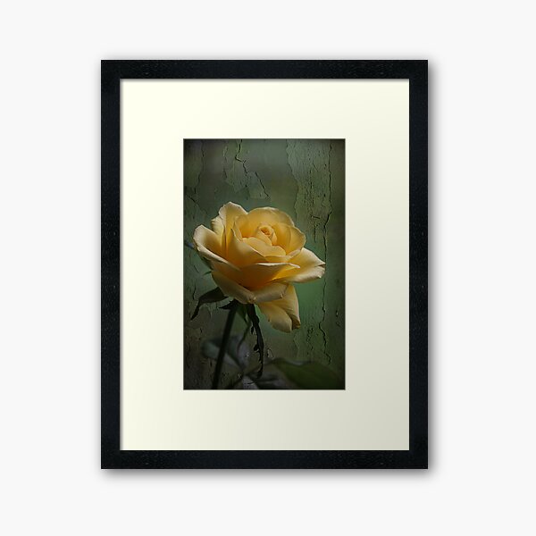 Shining Bright Framed Art Print