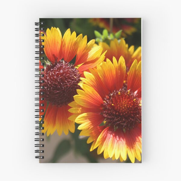 Item preview, Gaillardia Flowers designed and sold by taiche.
