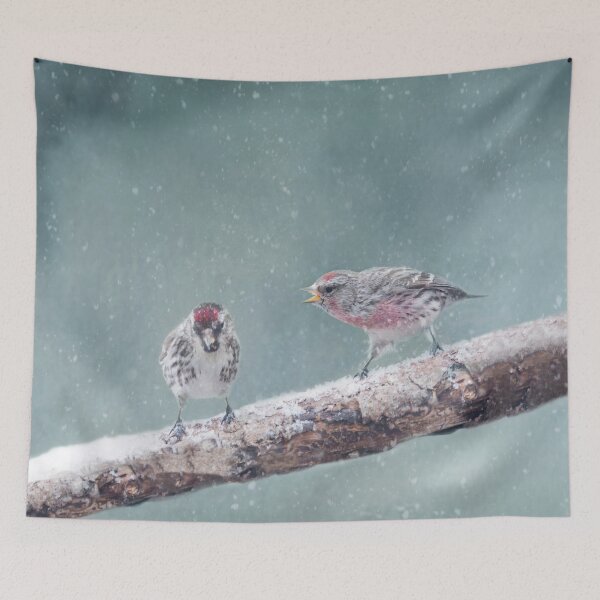 Item preview, Common Redpolls - Someone is getting an earful designed and sold by Shauna Kenworthy.