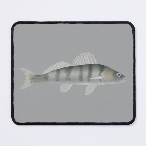 Item preview, Volga Pikeperch designed and sold by fishfolkart.