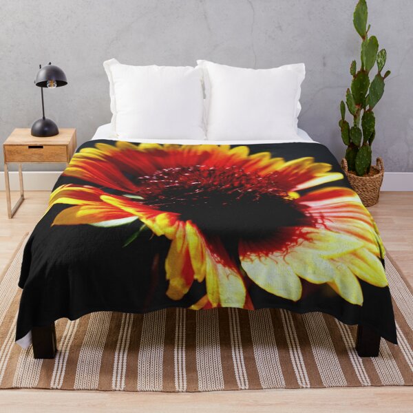 Item preview, Gaillardia Flower Floating On Black designed and sold by taiche.