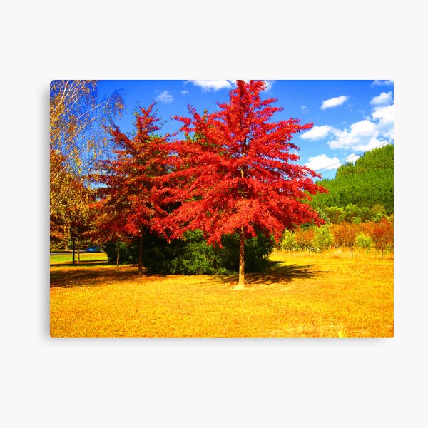 Item preview, Autumn is here designed and sold by Katrina Kotlarski.