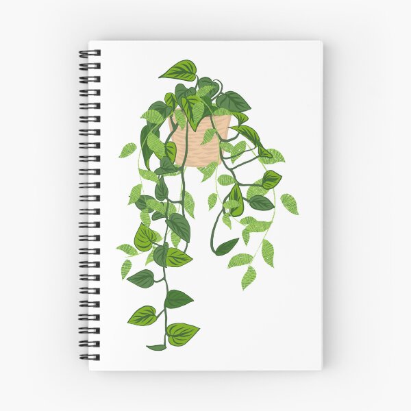 Item preview, aesthetic hanging plant designed and sold by ElizabethCoelho.