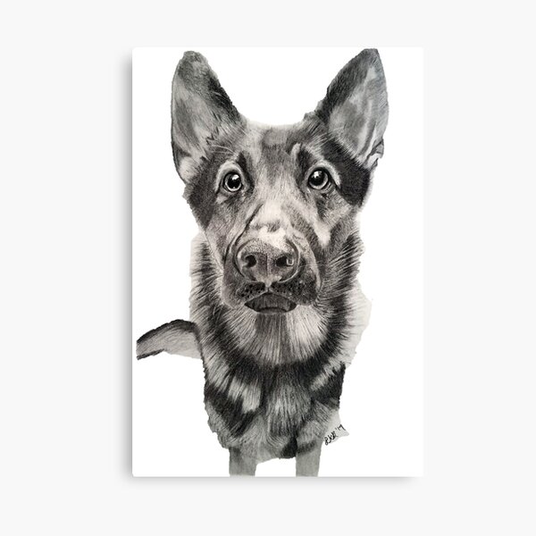 German Shepherd Canvas Print