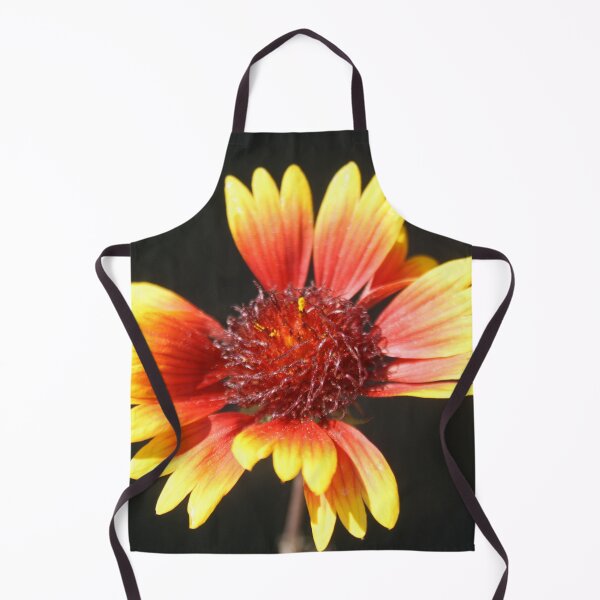 Item preview, Gaillardia Isolated on Black designed and sold by taiche.